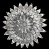 Buccellati ANEMONE BOWL