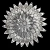 Buccellati ANEMONE MEDIUM BOWL