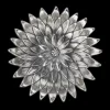 Buccellati ANEMONE PLACEHOLDER