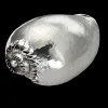 Buccellati LARGE MELO DIADEMA SHELL DECORATIVE OBJECT COATED IN SILVER