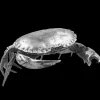 Buccellati MARINA LARGE CRAB IN SILVER