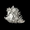 Buccellati SMALL MUREX RAMOSUS SHELL DECORATIVE OBJECT COATED IN SILVER