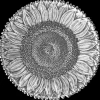 Buccellati SUNFLOWER CENTERPIECE
