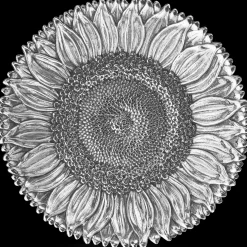 Buccellati SUNFLOWER CENTERPIECE